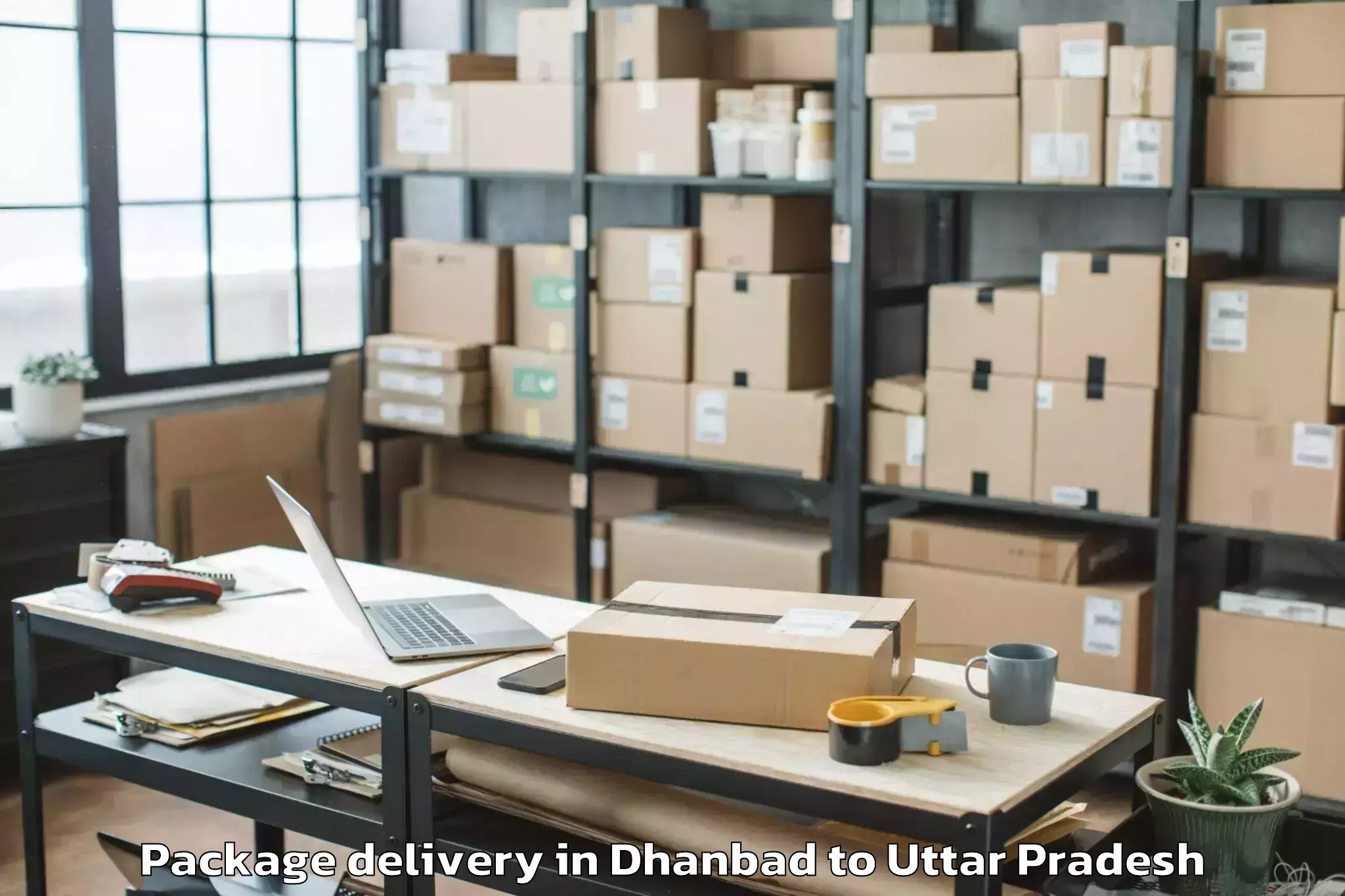 Affordable Dhanbad to Mau Aimma Package Delivery